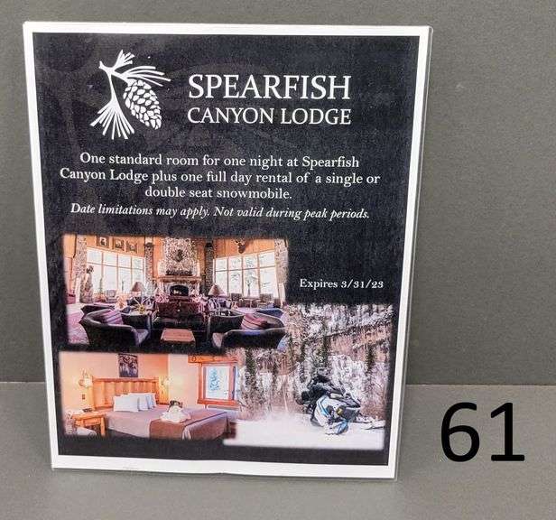 One standard room for one night at Spearfish Canyon Lodge plus one full