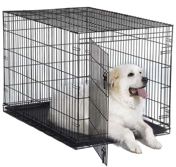 Single door folding metal dog crate, 48 in. Metzger Property Services LLC