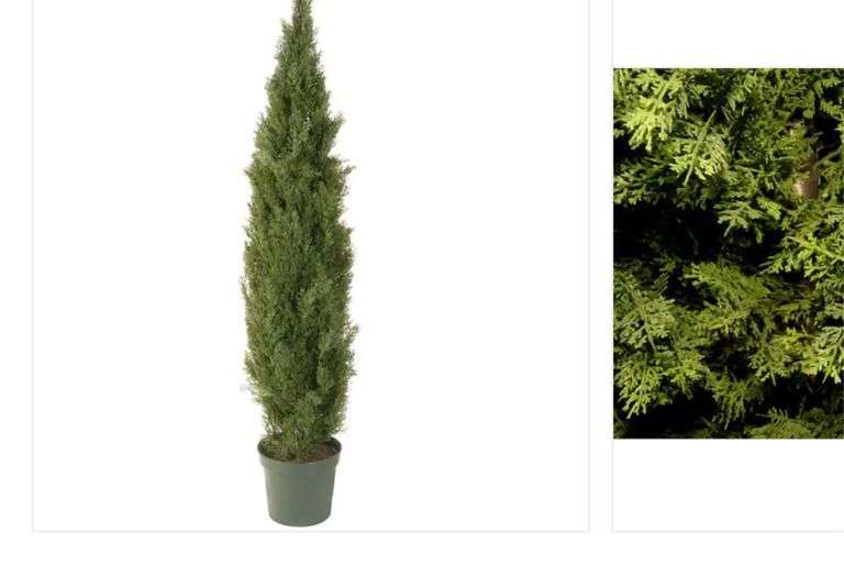 72 in. Artificial Arborvitae Tree in Dark Green Round Growers Pot