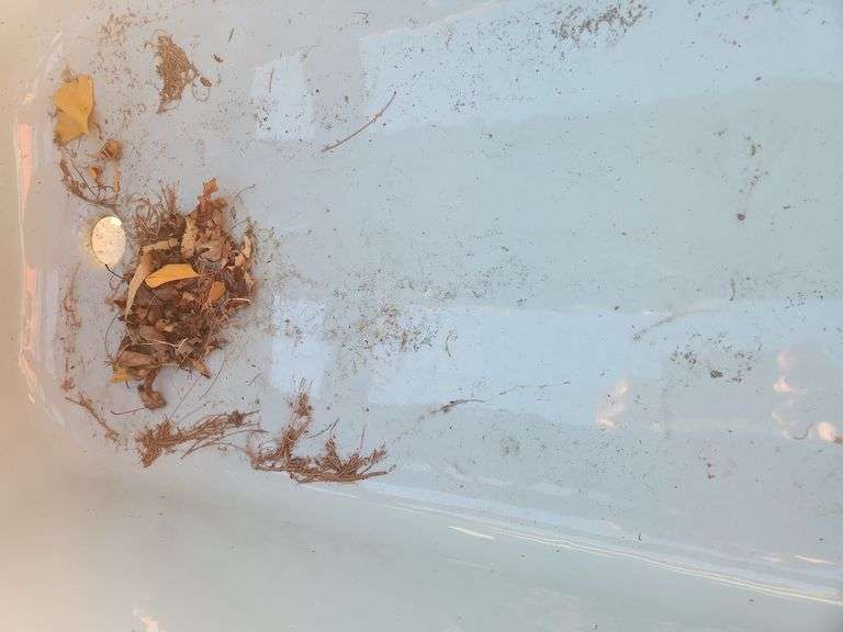 Retro blue cast iron tub Metzger Property Services LLC