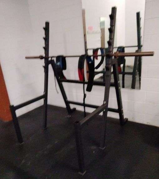 ProElite Strength systems Metzger Property Services LLC