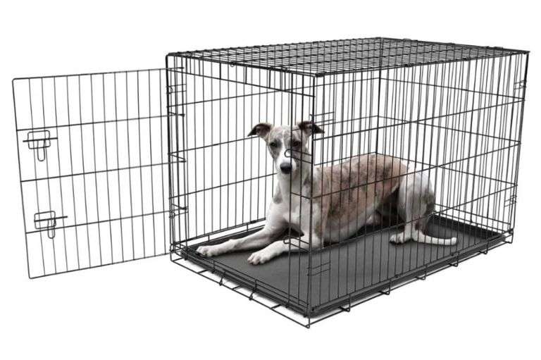 Amazon Basics 48 in. Foldable Single Door Metal Dog Crate, Large