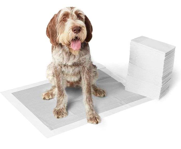 Amazon Basics Dog and Puppy Pads, Leakproof 5Layer Pee Pads with Quickdry Surface for Potty