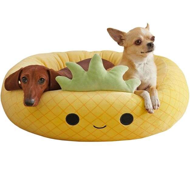 Squishmallows 24Inch Maui Pineapple Pet Bed Medium Ultrasoft