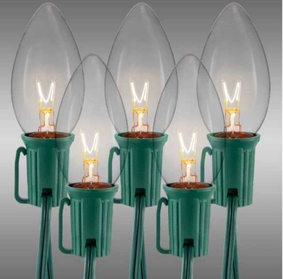 Home accents holiday 25 clear incandescent C9 lights Metzger Property Services, LLC