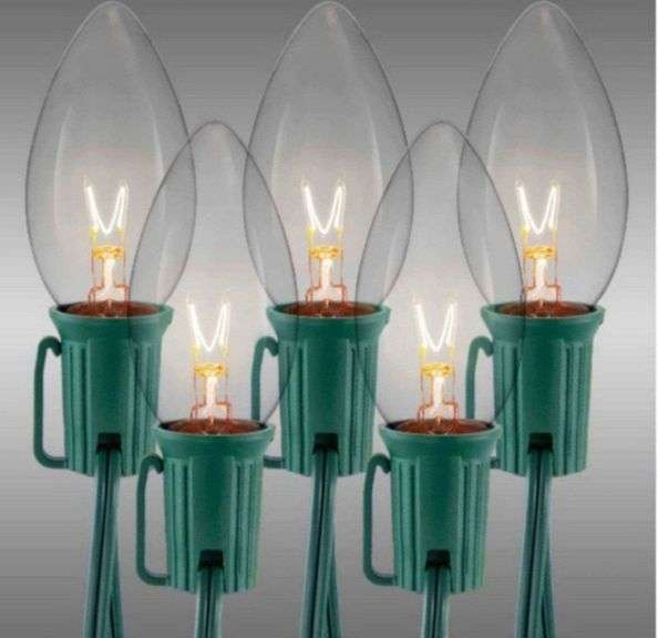 Home accents holiday 25 clear incandescent C9 lights Metzger Property