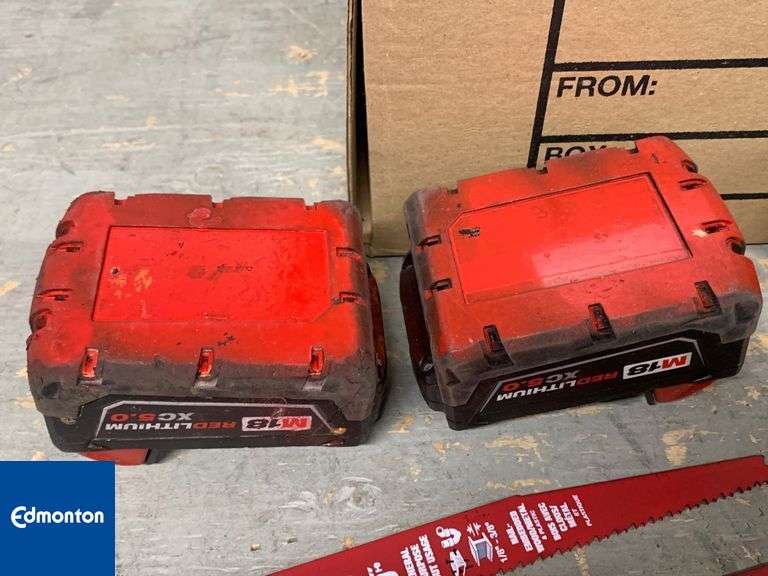 Milwaukee 18V Reciprocating Saw with 2 Batteries and 4 Diablo Blades