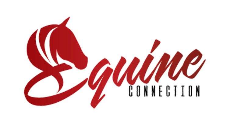 Equine Connection ONLINE Only Sale