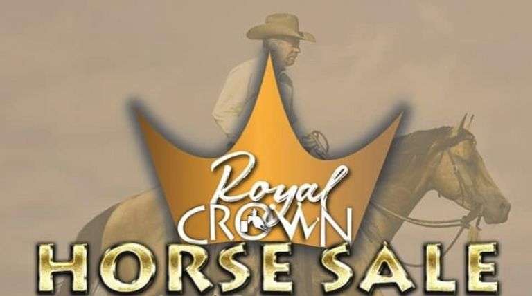 February 21, 2021 ~ Royal Crown Horse Sale ~ Bryan, Texas