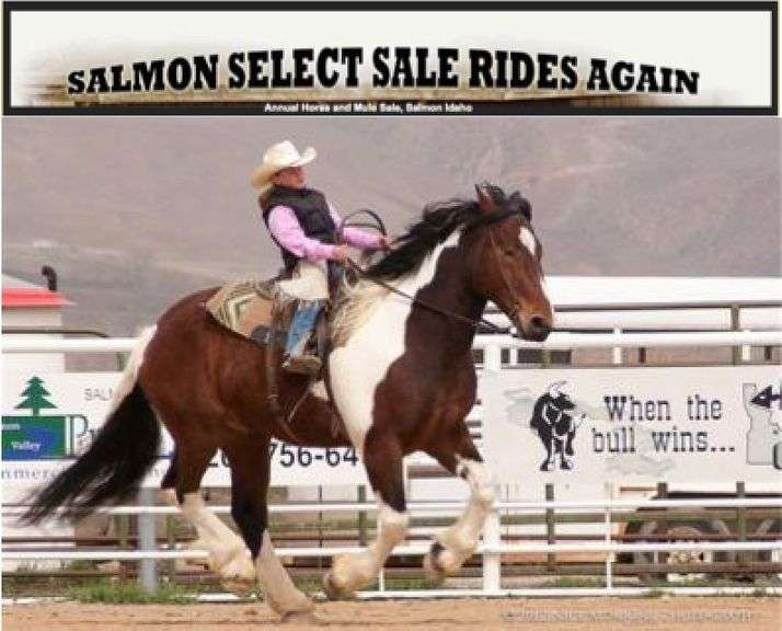 48th Annual Salmon Select Horse Sale 2021