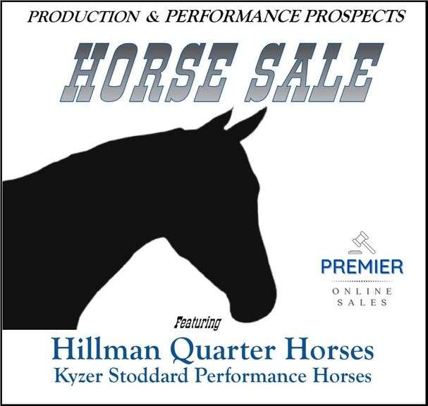 Production & Performance Prospects Horse Sale