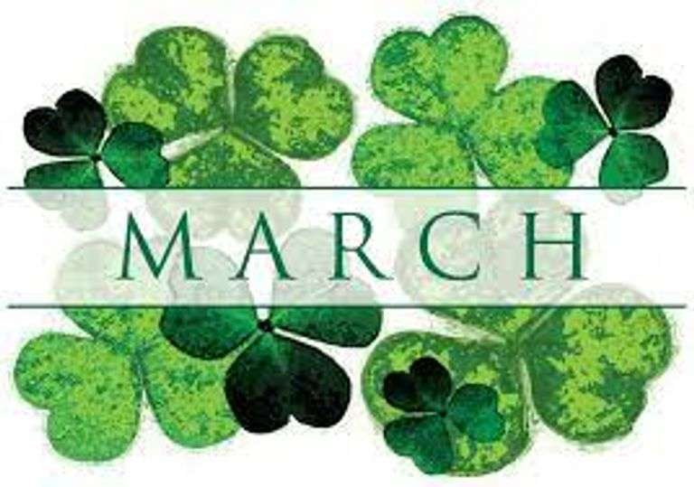 MARCH ~ ONLINE ONLY HORSE SALE