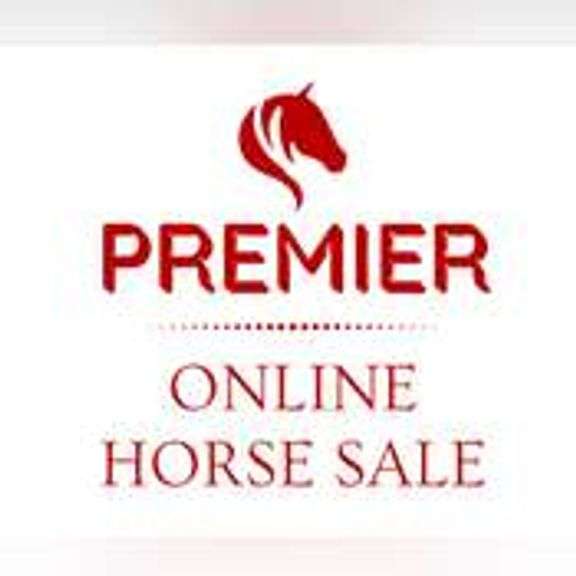 APRIL~ PREMIER ONLINE HORSE SALE