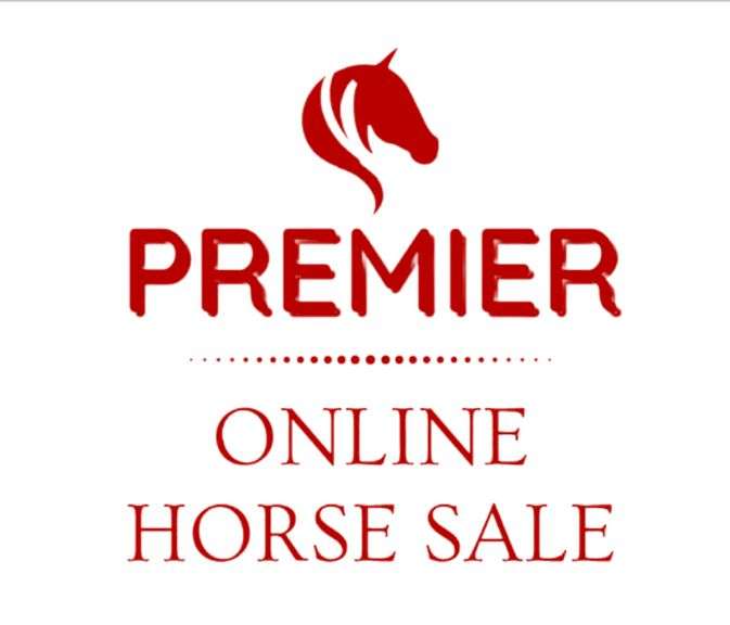 March ~ Premier Online Horse Sale