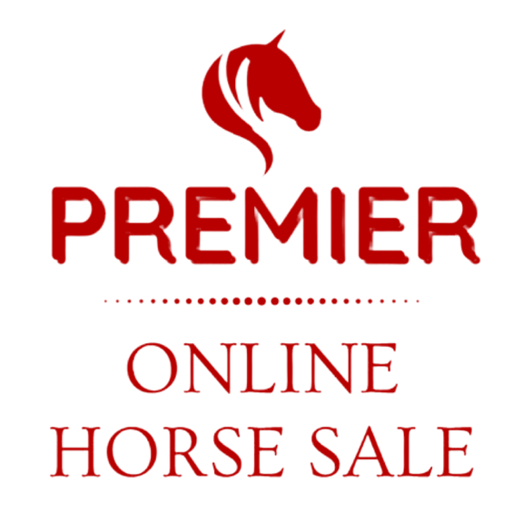 MAY ~ PREMIER ONLINE HORSE SALE