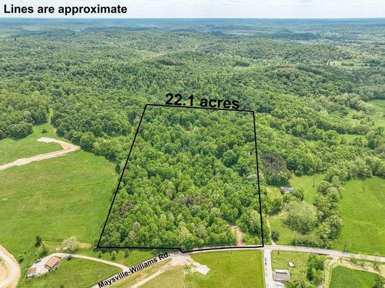 Past Auctions Mossy Oak Properties Bauer Real Estate Company