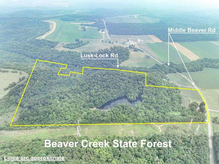 51.9 acres Columbiana County SOLD 399,300 Mossy Oak Properties