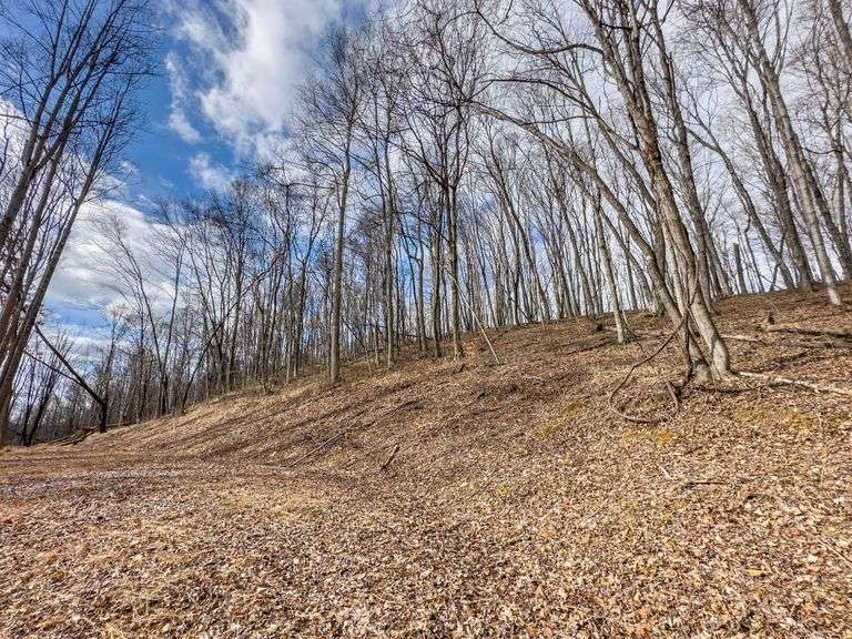 16 acres Hocking County Mossy Oak Properties Bauer Realty & Auctions