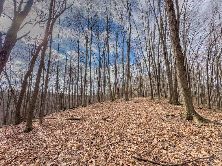 16 acres Hocking County Mossy Oak Properties Bauer Realty & Auctions