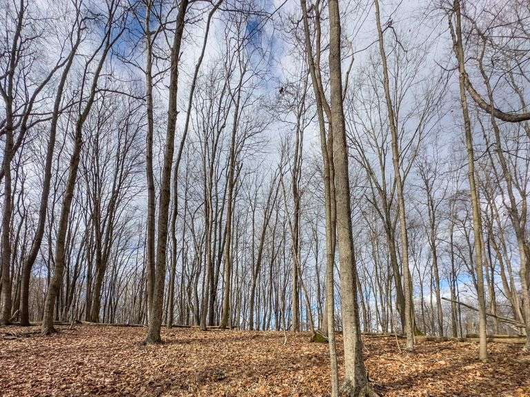 16 acres Hocking County Mossy Oak Properties Bauer Realty & Auctions