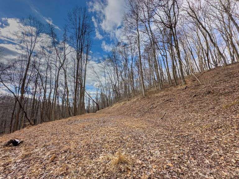 16 acres Hocking County Mossy Oak Properties Bauer Realty & Auctions