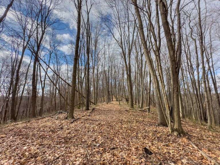 16 acres Hocking County Mossy Oak Properties Bauer Realty & Auctions