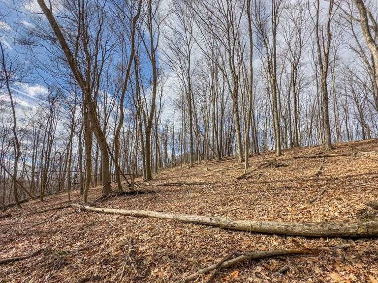 16 acres Hocking County Mossy Oak Properties Bauer Realty & Auctions