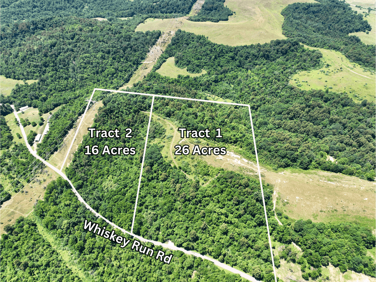 16 acres - Mossy Oak Properties Bauer Realty & Auctions