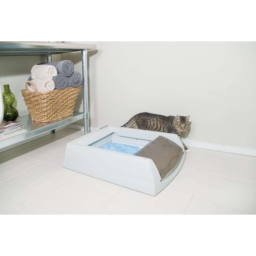 Petsafe ScoopFree Original SelfCleaning Litter Box Mariner Auctions