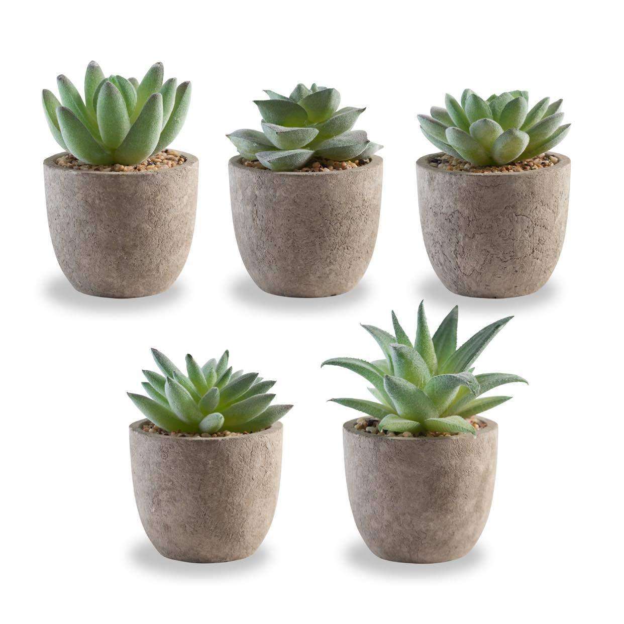 Korvea Set of 5 Artificial Succulent Plants Mini Assorted Fake Succulents Mariner Auctions