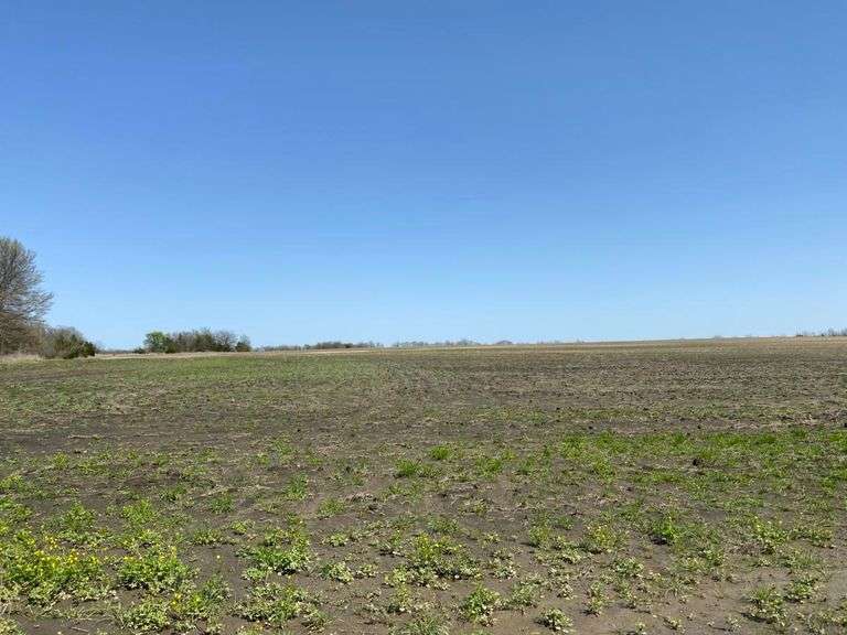 Land and Ranch Property in North East Texas
