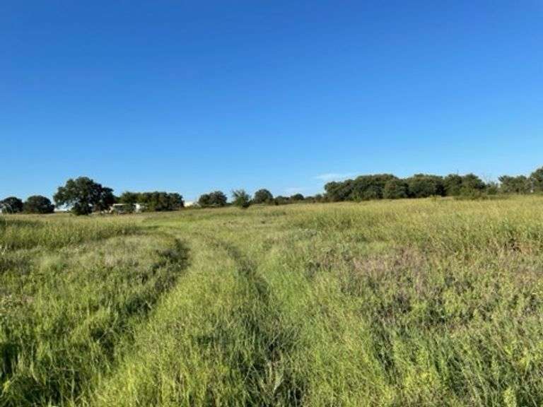 20 Acres of Wooded Land-Wise Co Texas