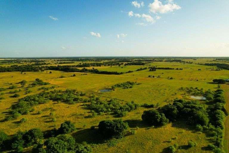investing in rural land, acreage for sale Texas, Navarro County, online auction, land auction, Myers Jackson, America's Auctioneer TDLR 17057