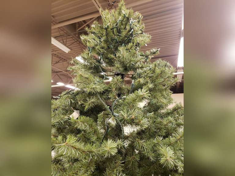 10ft Tall Christmas tree with wrapped lights Northern Kentucky Auction, LLC