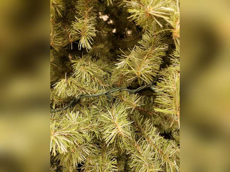 10ft Tall Christmas tree with wrapped lights Northern Kentucky Auction, LLC