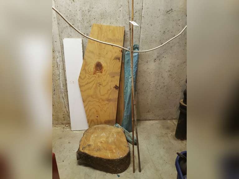 Cane poles, wood pieces and tent poles (B)