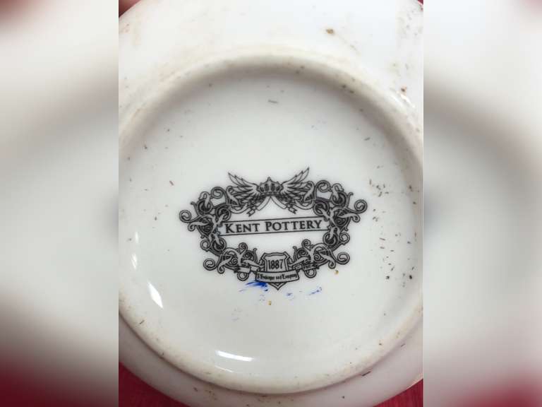 Kent Pottery Rosa Nowelliana Tea Cup and Saucer Northern Kentucky