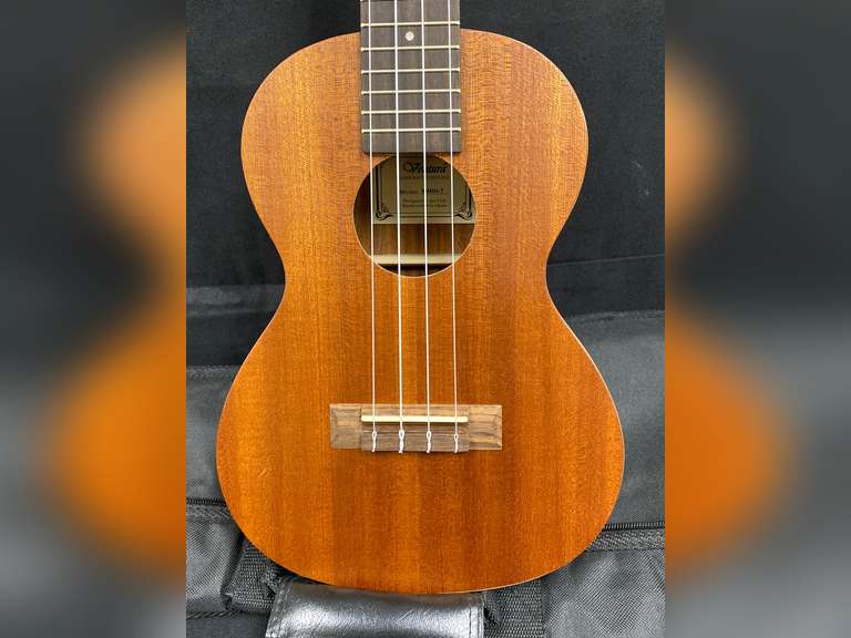 Ukulele With soft case Northern Kentucky Auction, LLC