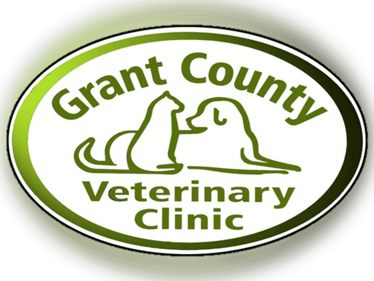 Certificate for a Microchip and Implantation, Value 90, Donated by