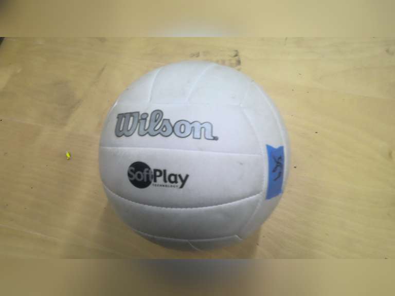 WILSON VOLLEYBALL 1 Online Auctions LLC