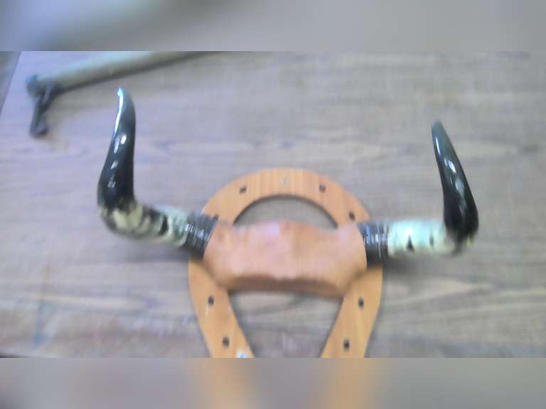 HORNS 1 Online Auctions LLC