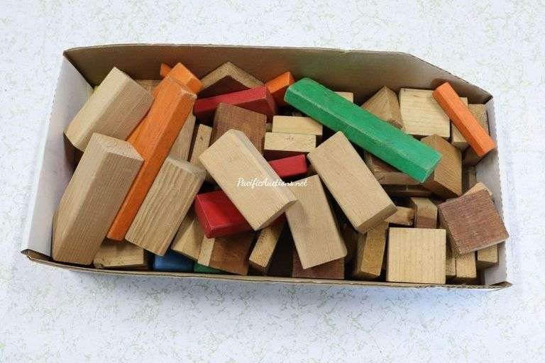 Assorted Building Blocks For The Little Builder In Your Life. Pacific