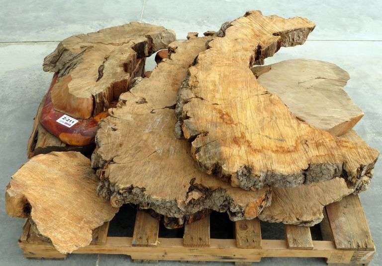 Z211 Juniper Burl Wood Slabs Pickett Auction Service