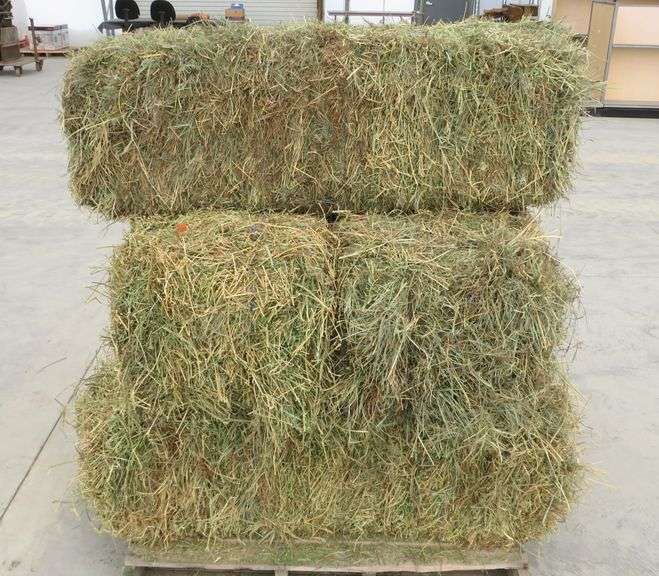 B-527 Orchard Grass/ Alfalfa Hay Bales (10)