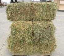 B-527 Orchard Grass/ Alfalfa Hay Bales (10)