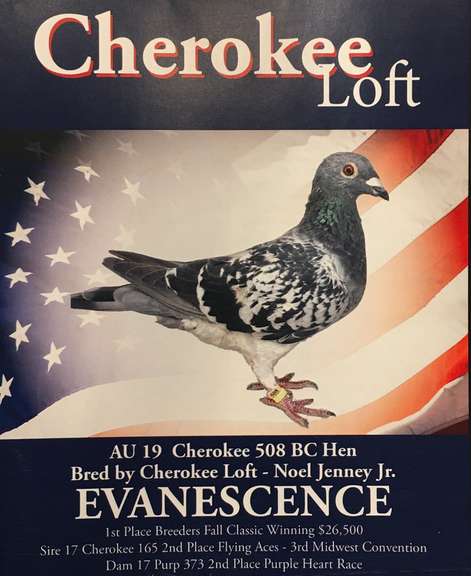 Cherokee Loft