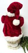 Santa Set