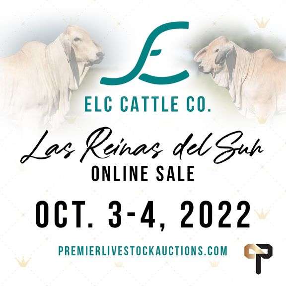 ELC Cattle Co. " Las Reinas del Sur" Sale Vol. II