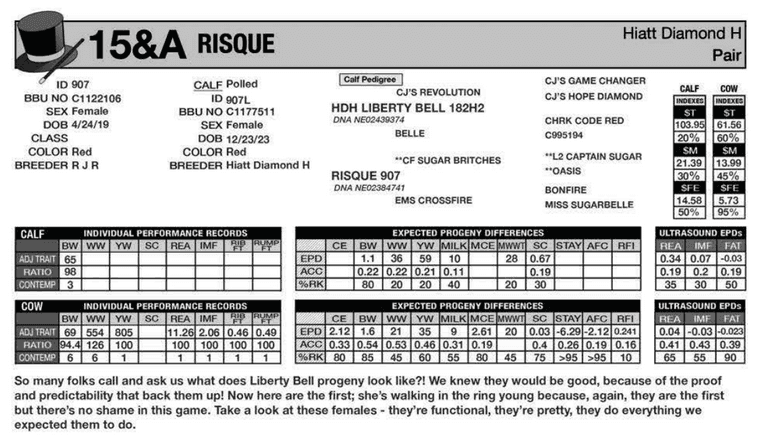 PAIR: RISQUE
