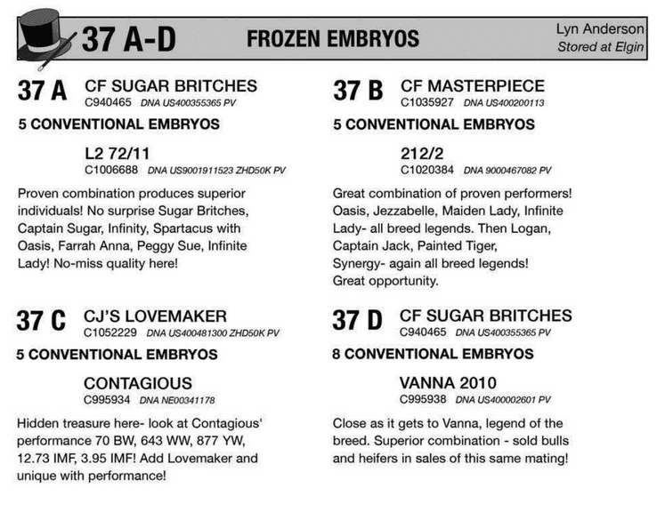 EMBRYO PACKAGE: CF SUGAR BRITCHES x L2 72/11